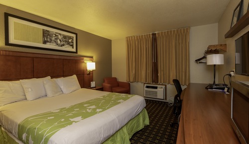 Standard Room, 1 King Bed, Non Smoking
