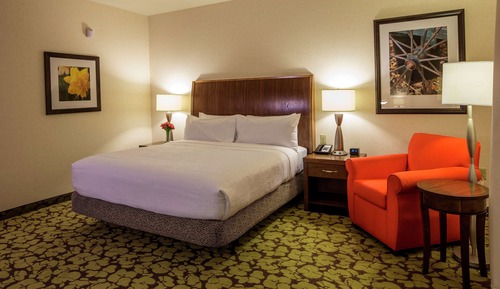 Room, 1 King Bed (Drinks & Snacks)