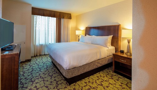 Room, 1 King Bed, Accessible, Non Smoking (Roll-in Shower)