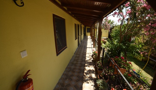 Economy Twin Room