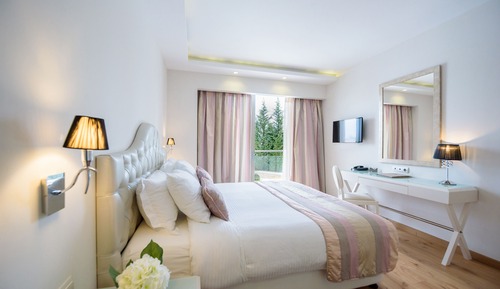 Double Room Single Use
