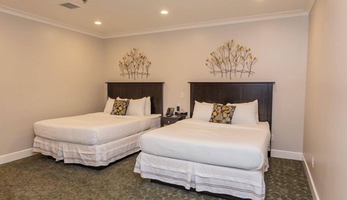 2 Room Queen Suite (401)