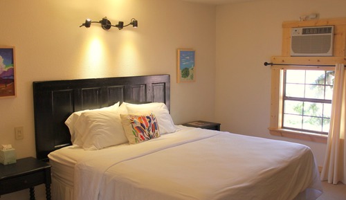 Standard Single Room, 1 King Bed