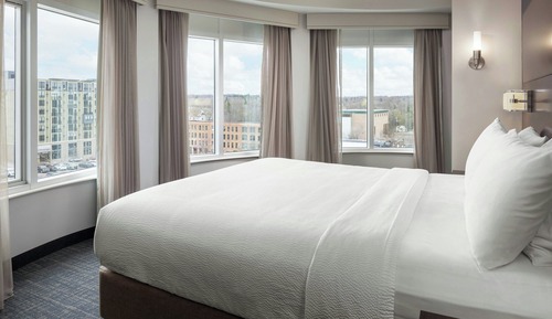 Panoramic Studio Suite, 1 King Bed with Sofa bed