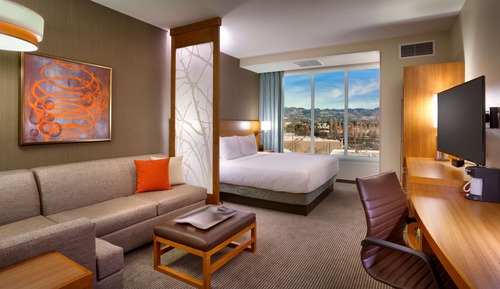 Room, 1 King Bed with Sofa bed