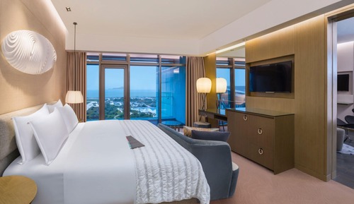 Room, 1 King Bed