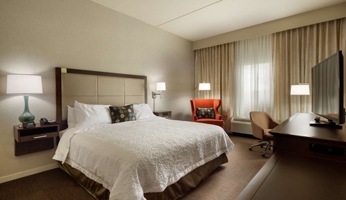 Room, 1 King Bed with Sofa bed, Non Smoking, Refrigerator & Microwave