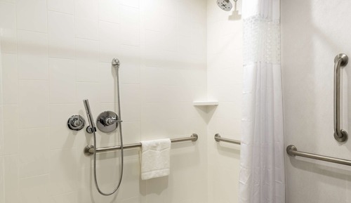 Room, 1 King Bed, Accessible, Non Smoking (Roll In Shower)