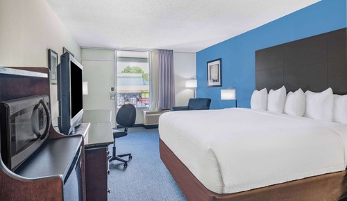 Room, 1 King Bed, Smoking