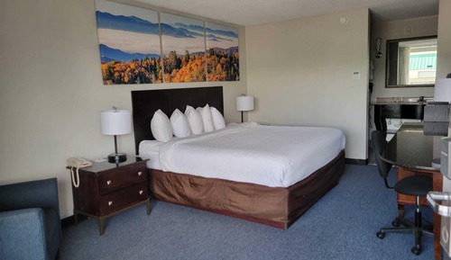 Room, 1 King Bed, Accessible, Non-Smoking (Mobility, Roll-In Shower)