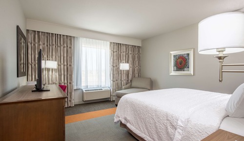 Room, 1 King Bed, Non Smoking, Refrigerator