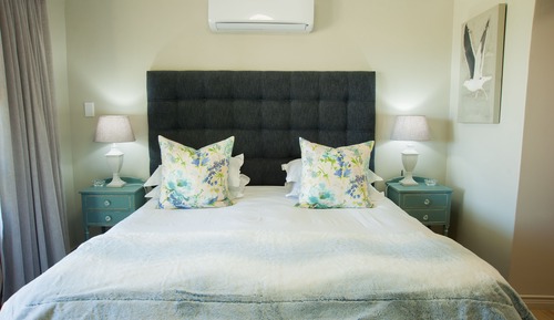 Palm Suite Vll