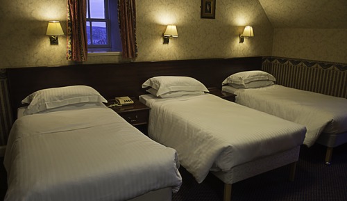 Family Room (sleeps 3)