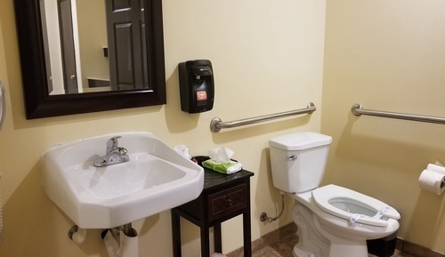 Standard Room, 1 King Bed, Accessible