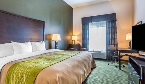 Standard Room, 1 King Bed, Non Smoking
