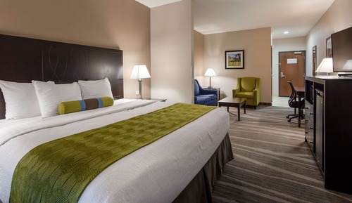 Suite, 1 King Bed, Non Smoking, Refrigerator & Microwave (with Single Sofabed)