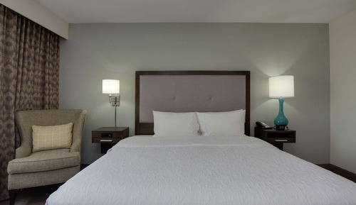 Room, 1 King Bed, Non Smoking, Refrigerator
