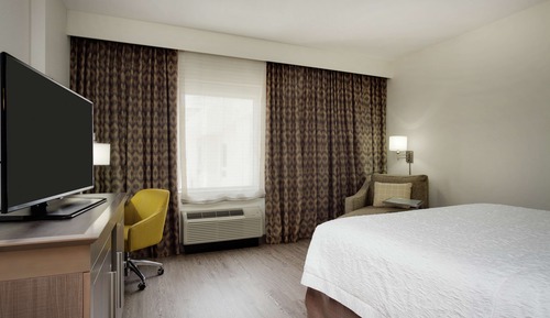 Studio, 1 King Bed, Non Smoking, Refrigerator & Microwave