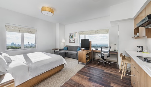 Room, 1 King Bed with Sofa bed