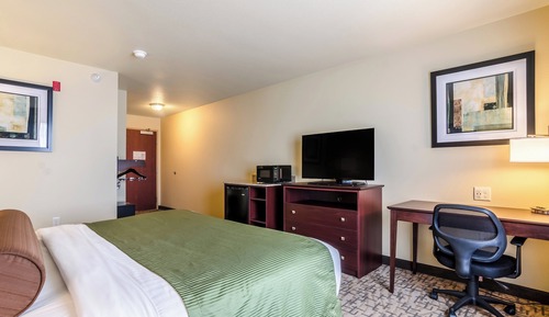 Room, 1 King Bed, Non Smoking