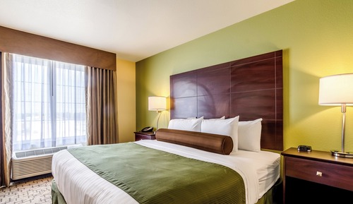 Suite, 1 King Bed with Sofa Bed, Audible Visual Alert, Non Smoking