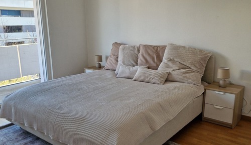Deluxe Apartment, Mountain View