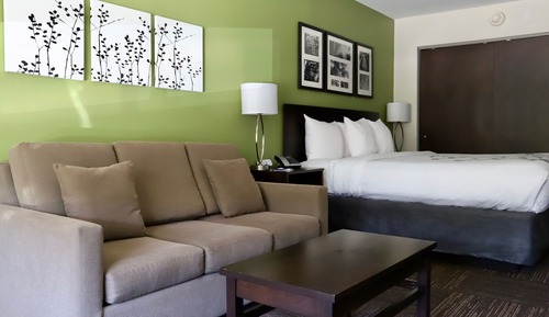 Suite, 1 King Bed with Sofa bed, Non Smoking (Whirlpool)