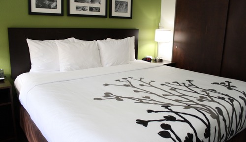 Standard Room, 1 King Bed, Non Smoking