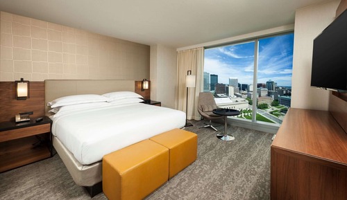 Suite, 1 King Bed (Roll in Shwr)
