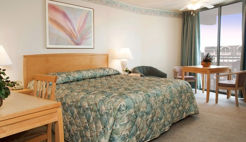 Standard Room, 1 King Bed (A1)