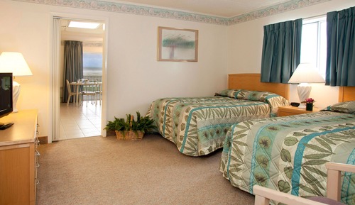 Suite, 1 Bedroom, Oceanfront (C/D)