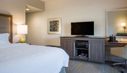 Room, 1 King Bed, Accessible, Bathtub (Mobility & Hearing)