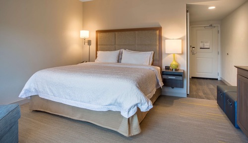 Room, 1 King Bed, Refrigerator & Microwave
