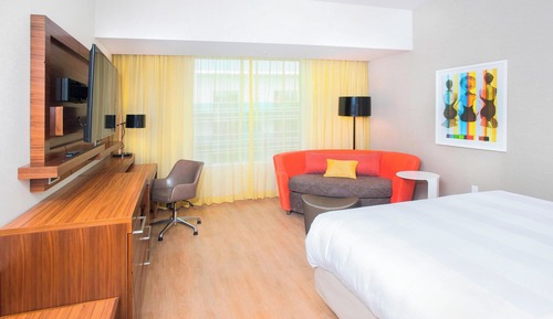 Room, 1 King Bed