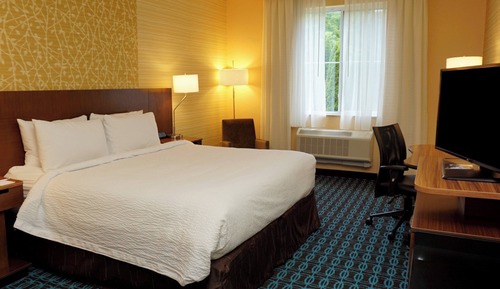 Room, 1 King Bed