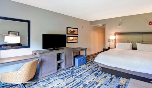 Room, 1 King Bed, Accessible, Non Smoking (mob/hearing acc w/ roll-in shower)
