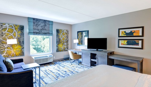 Room, 1 King Bed with Sofa bed, Non Smoking, Refrigerator