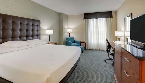 Deluxe Room, 1 King Bed, Accessible, Refrigerator & Microwave (Roll in Shower)