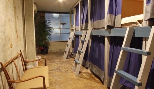 Bunk Bed in Mixed Dormitory Room