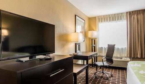 Standard King Room - Non-Smoking 