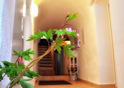 Studio Apartment - Ground Floor