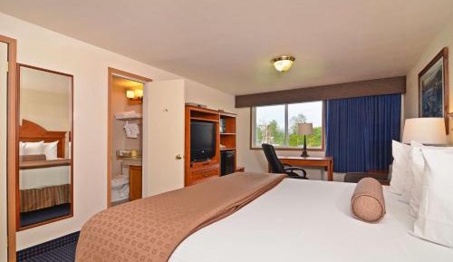Large King Room witih Mountain View - Non-smoking