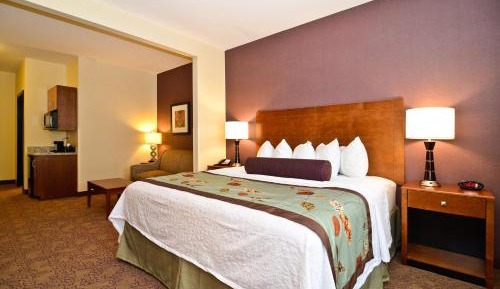 King Suite with Sofa Bed - Non-Smoking