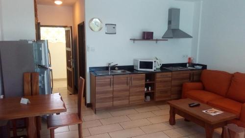 Studio Apartment