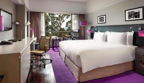 Superior Double Room with City View