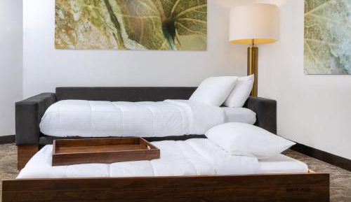 Queen Suite with Sofa Bed