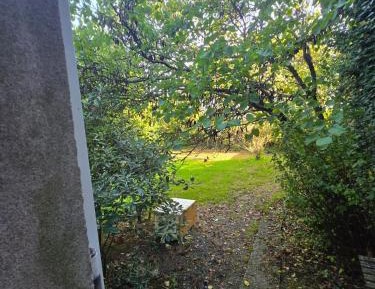 Studio with Garden View
