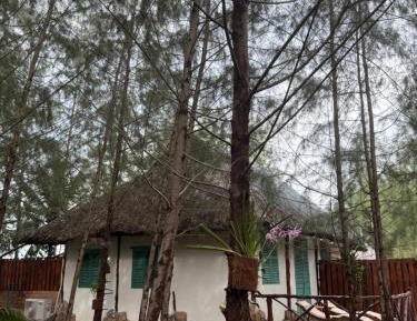 Bungalow with Garden View
