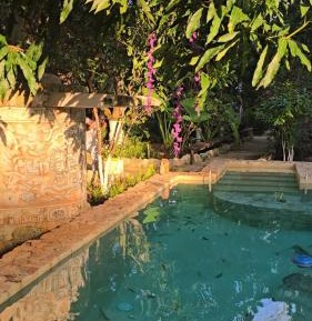 Deluxe Double or Twin Room with Pool Access