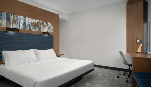 King Room with Roll-in Shower - Mobility Accessible